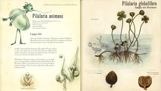 L'erbario delle fate