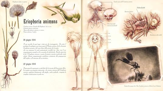 L'erbario delle fate