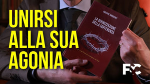 Unirsi all'agonia di Gesù