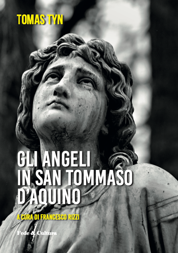 Gli Angeli in san Tommaso d'Aquino