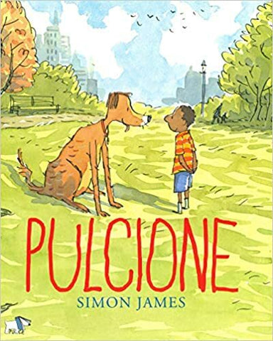 Pulcione