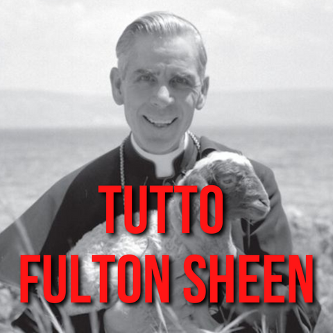 Collezione beato Fulton Sheen