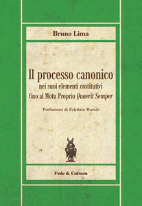 Il processo canonico nei suoi elementi costitutivi